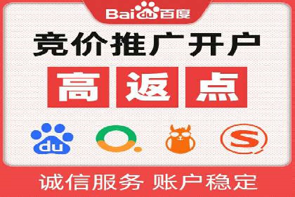 抖音信息流代理在电商行业的应用案例分析